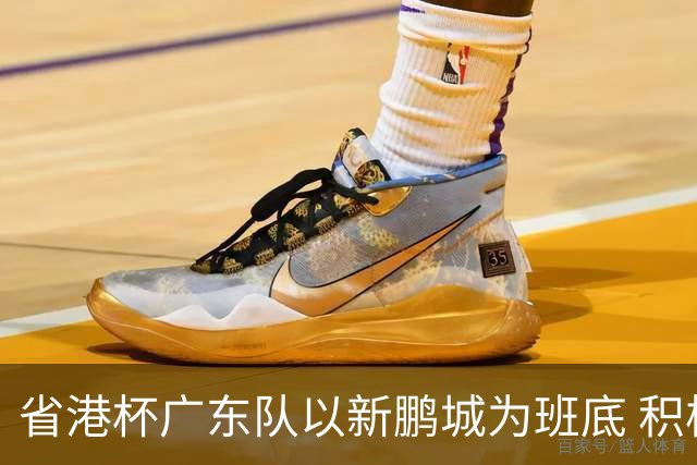 省港杯广东队以新鹏城为班底 积极协调拜合拉木参赛